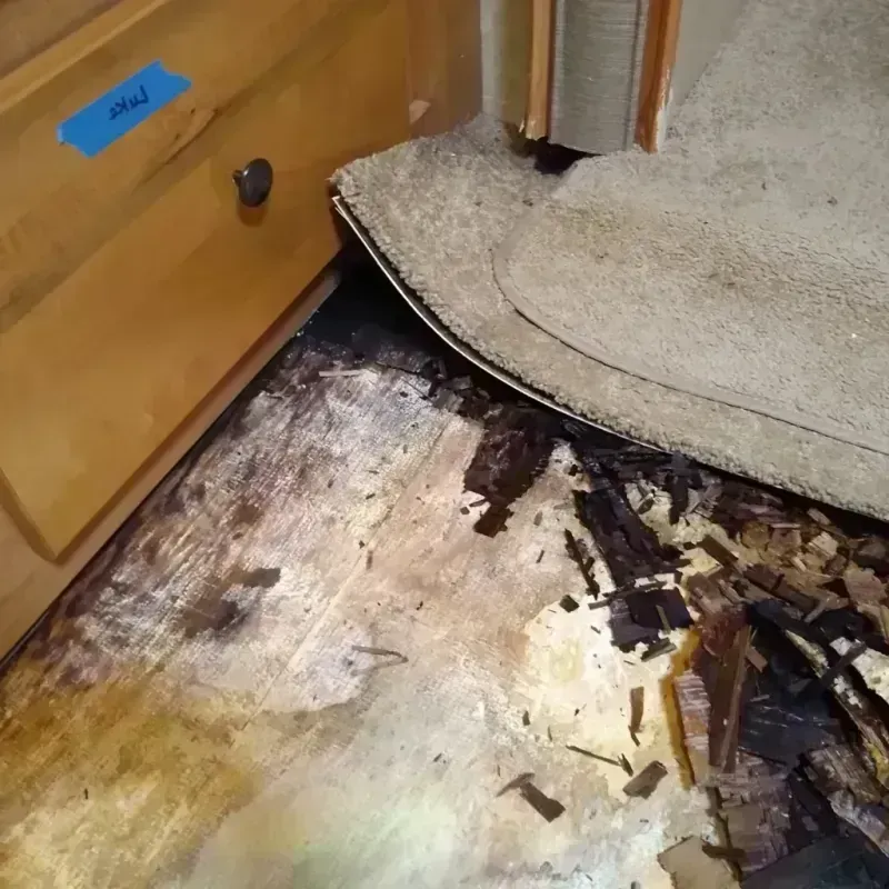 Best Wood Floor Water Damage Service in Rio Rancho, NM